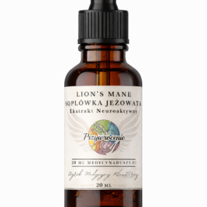 Soplówka Jeżowata | Lion's Mane